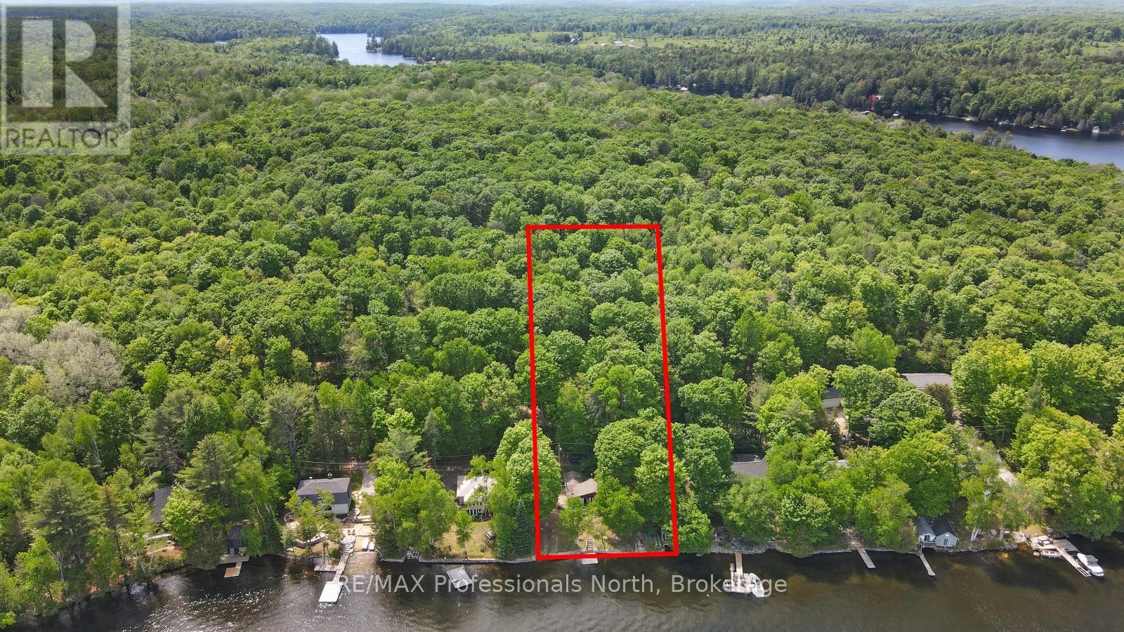 1024 Norandy Lane, Minden Hills, Ontario  K0M 2K0 - Photo 4 - X13436196