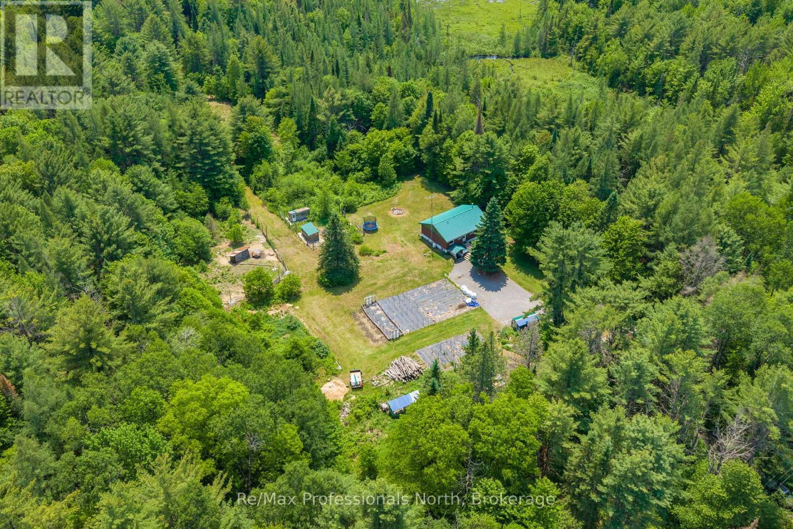 163 Rose Lake Road, Huntsville, Ontario  P0B 1M0 - Photo 3 - X13437406