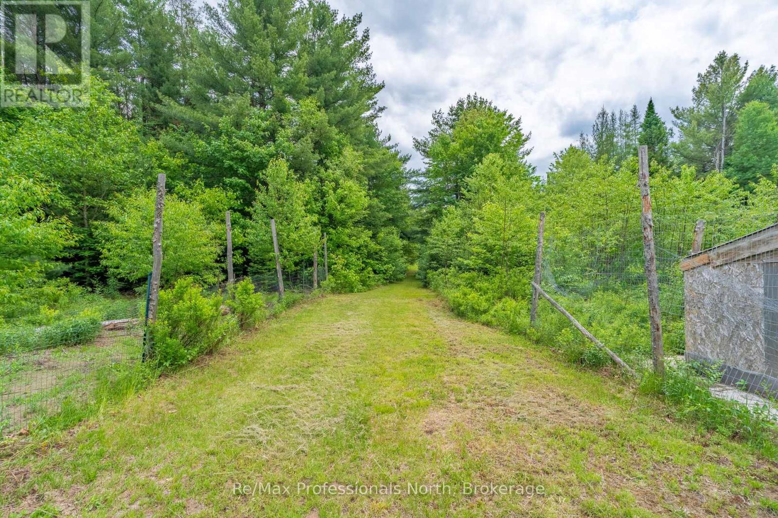 163 Rose Lake Road, Huntsville, Ontario  P0B 1M0 - Photo 34 - X13437406