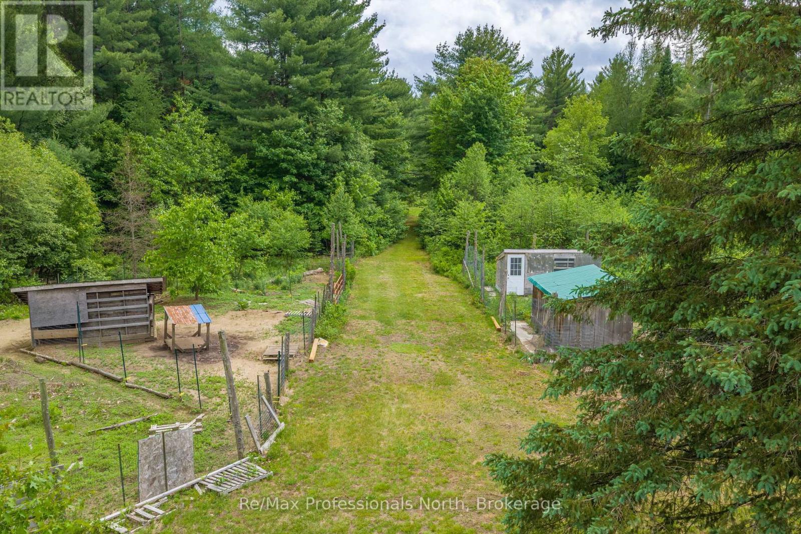 163 Rose Lake Road, Huntsville, Ontario  P0B 1M0 - Photo 36 - X13437406