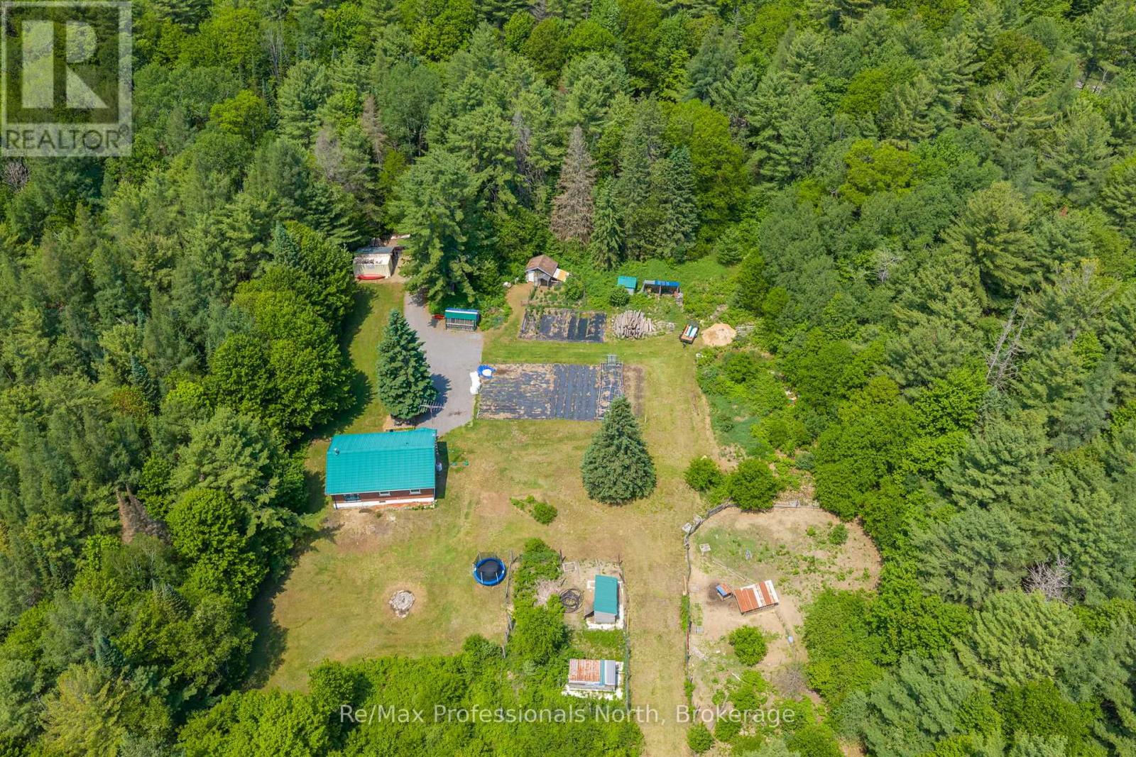 163 Rose Lake Road, Huntsville, Ontario  P0B 1M0 - Photo 39 - X13437406