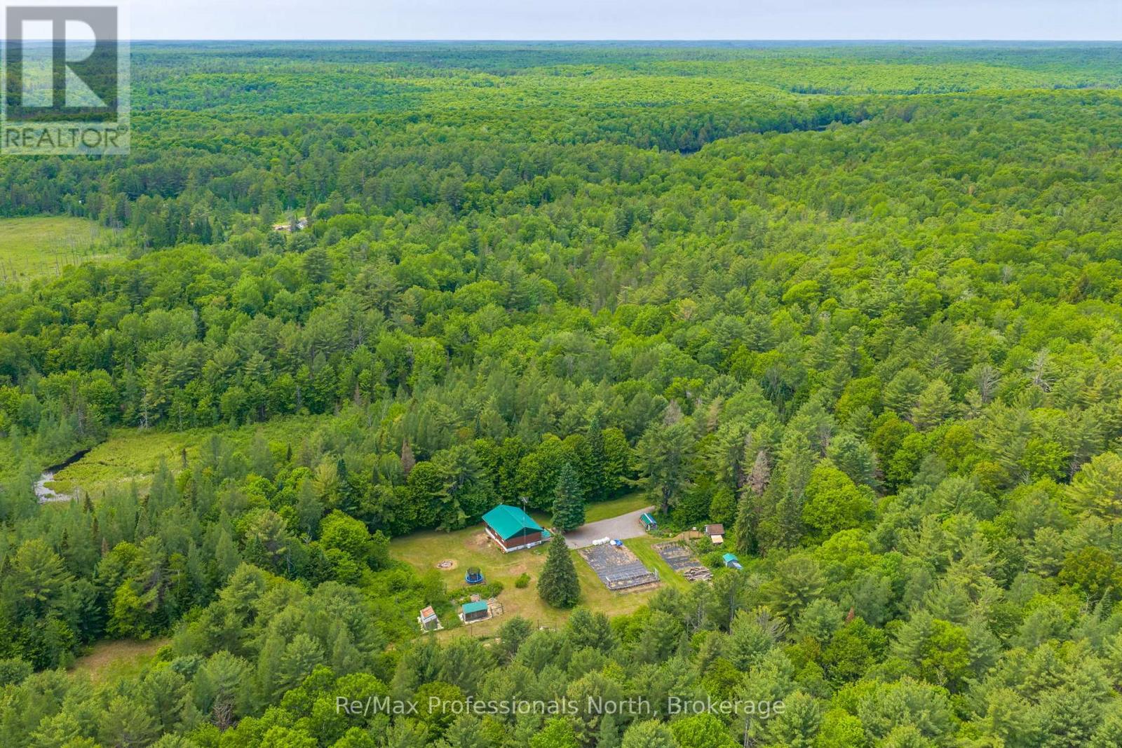 163 Rose Lake Road, Huntsville, Ontario  P0B 1M0 - Photo 40 - X13437406