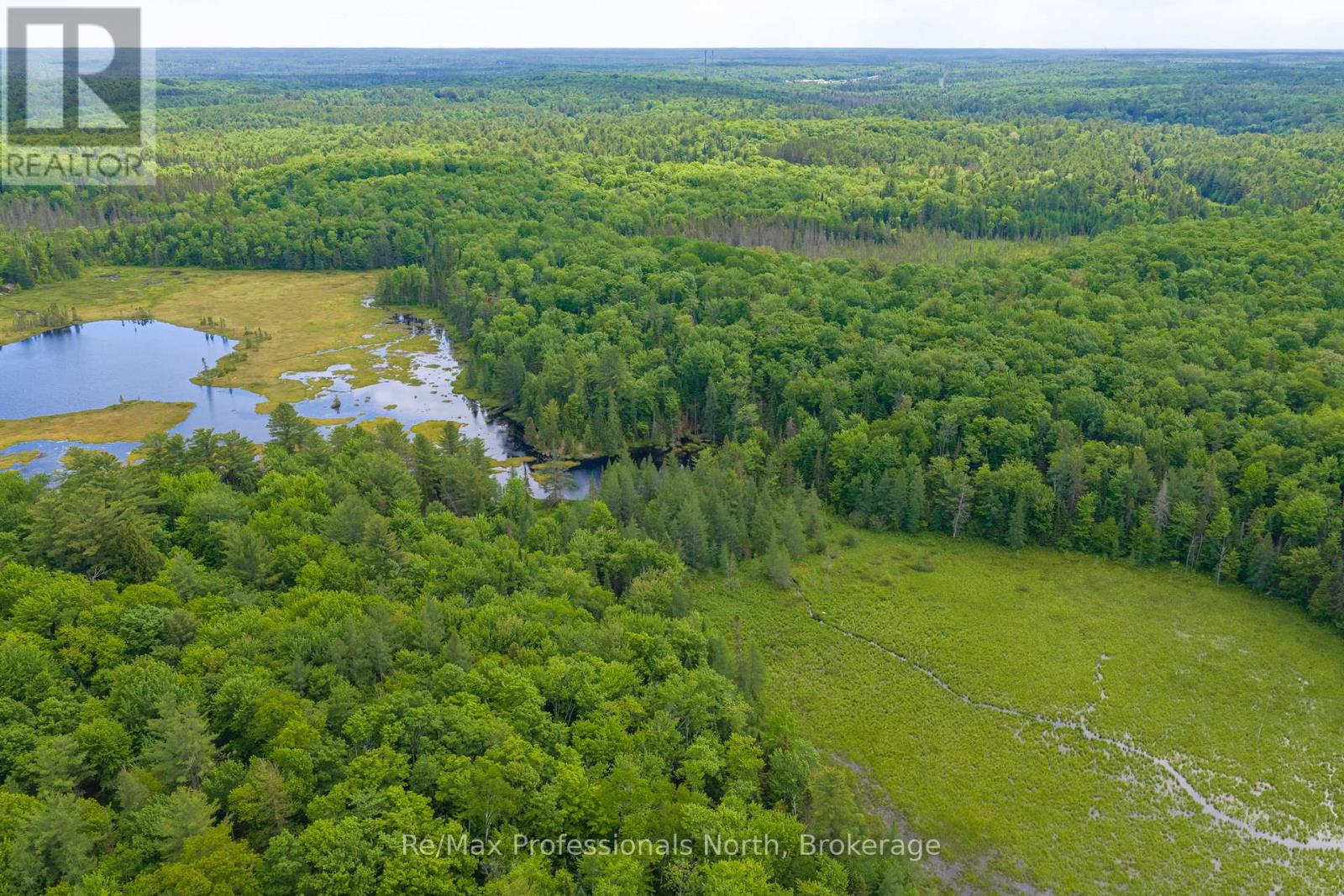 163 Rose Lake Road, Huntsville, Ontario  P0B 1M0 - Photo 41 - X13437406