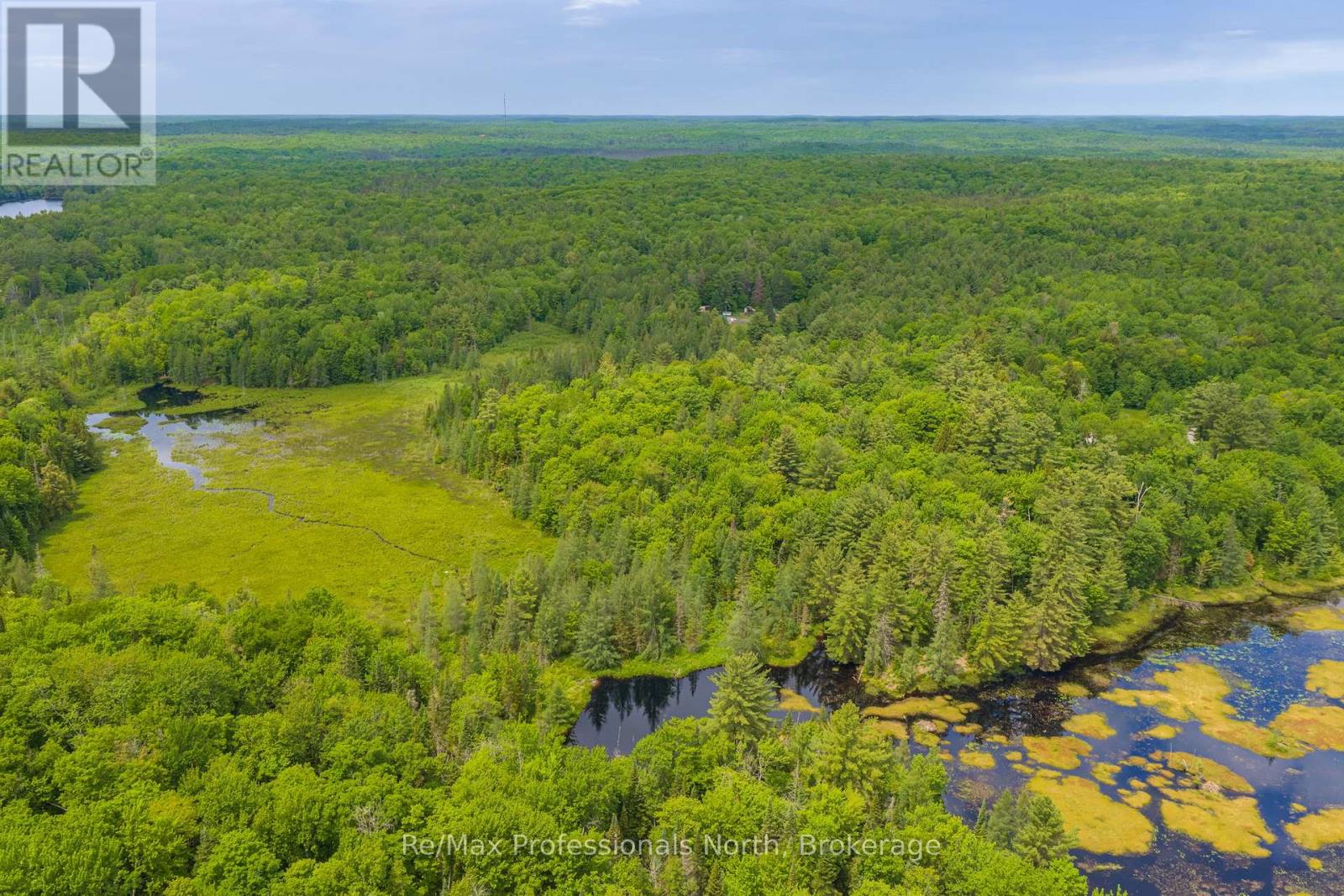 163 Rose Lake Road, Huntsville, Ontario  P0B 1M0 - Photo 42 - X13437406