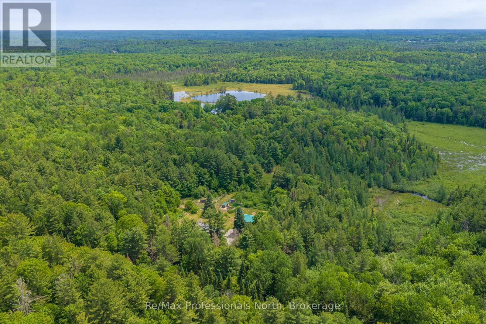 163 Rose Lake Road, Huntsville, Ontario  P0B 1M0 - Photo 43 - X13437406