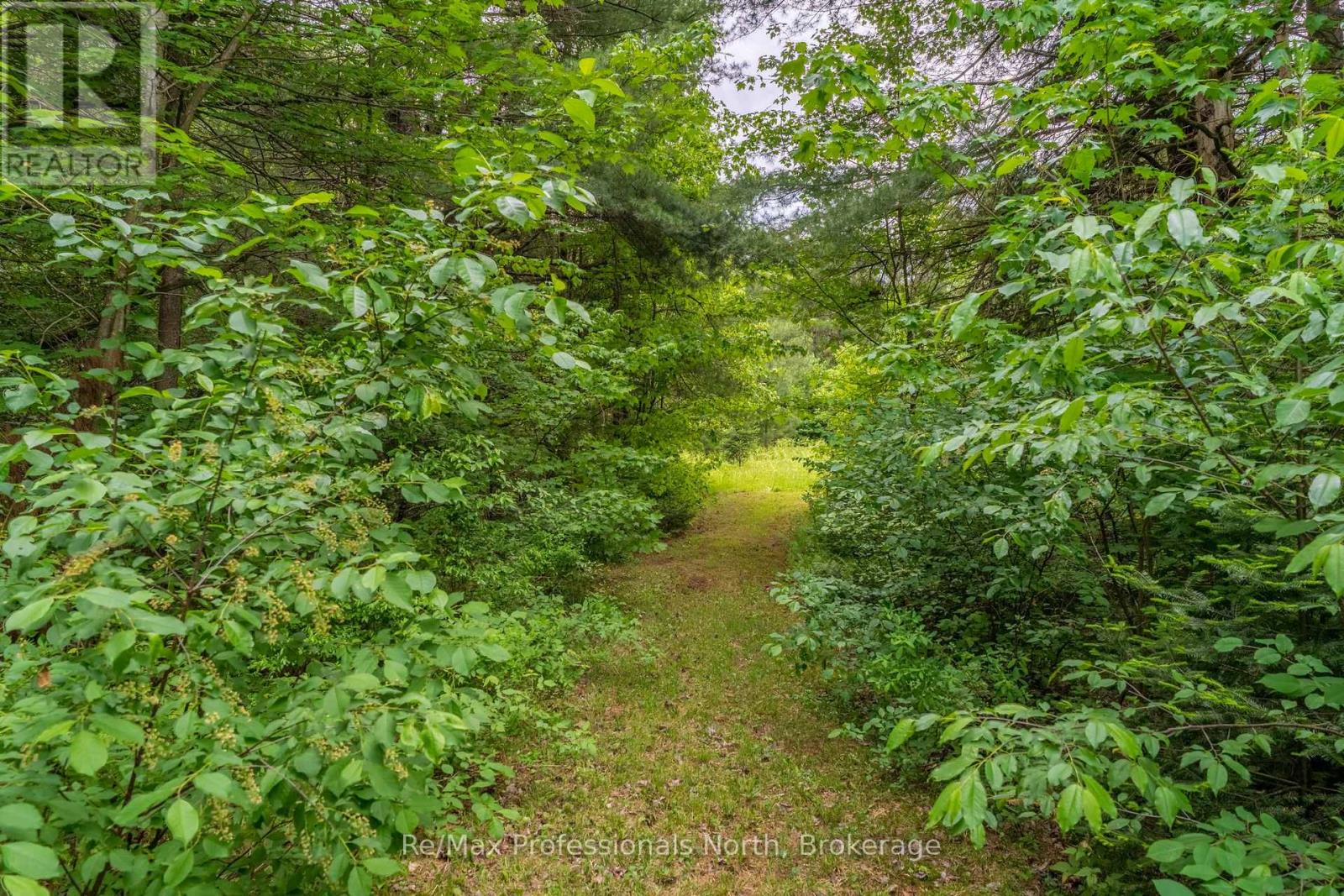 163 Rose Lake Road, Huntsville, Ontario  P0B 1M0 - Photo 45 - X13437406