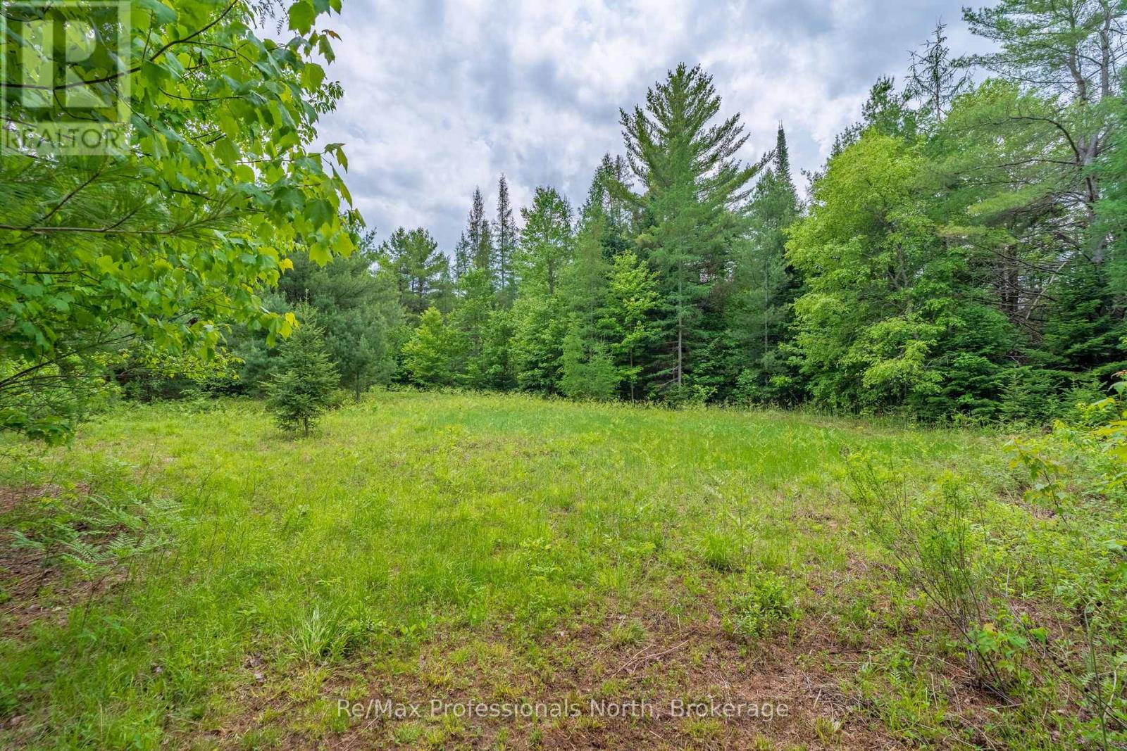 163 Rose Lake Road, Huntsville, Ontario  P0B 1M0 - Photo 46 - X13437406