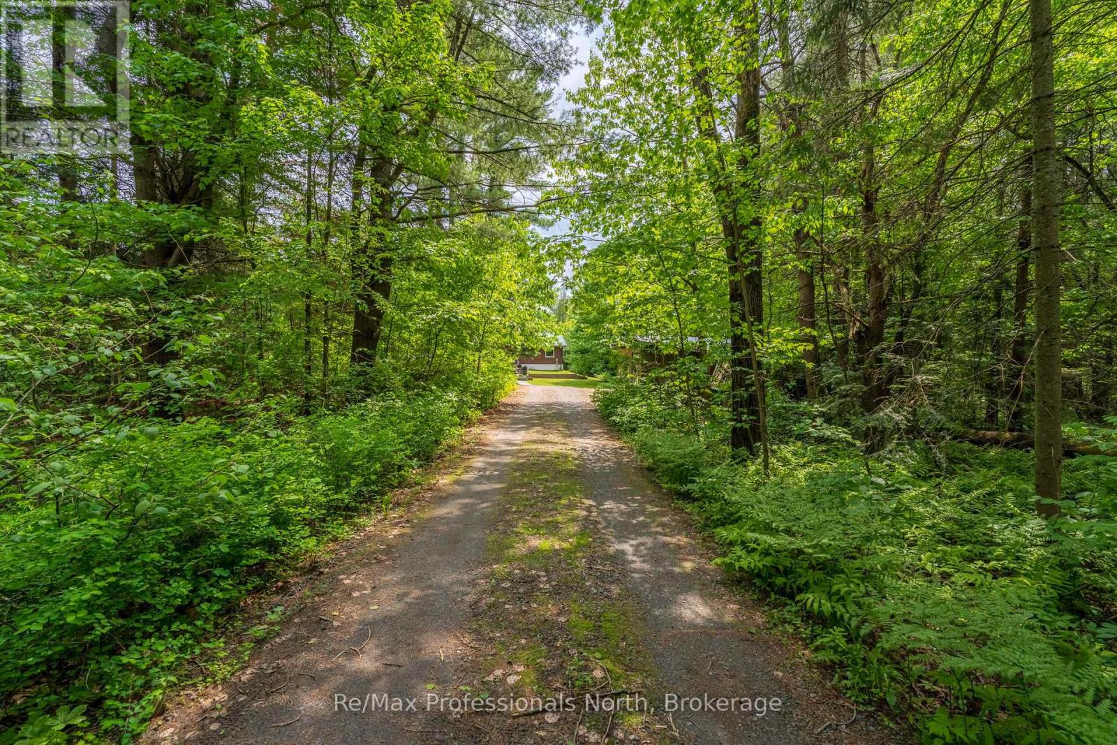 163 Rose Lake Road, Huntsville, Ontario  P0B 1M0 - Photo 47 - X13437406