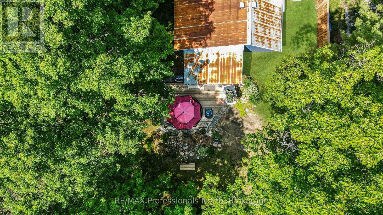 203 Burleigh Street, North Kawartha, Ontario  K0L 1A0 - Photo 39 - X13438830