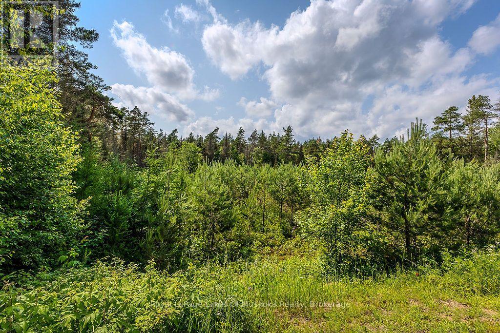 679 Boulder Road, Parry Sound Remote Area, Ontario  P0A 1X0 - Photo 36 - X13439352