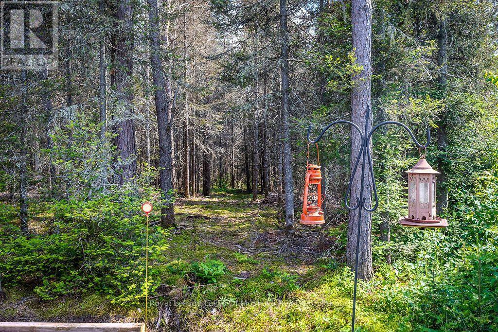 679 Boulder Road, Parry Sound Remote Area, Ontario  P0A 1X0 - Photo 39 - X13439352