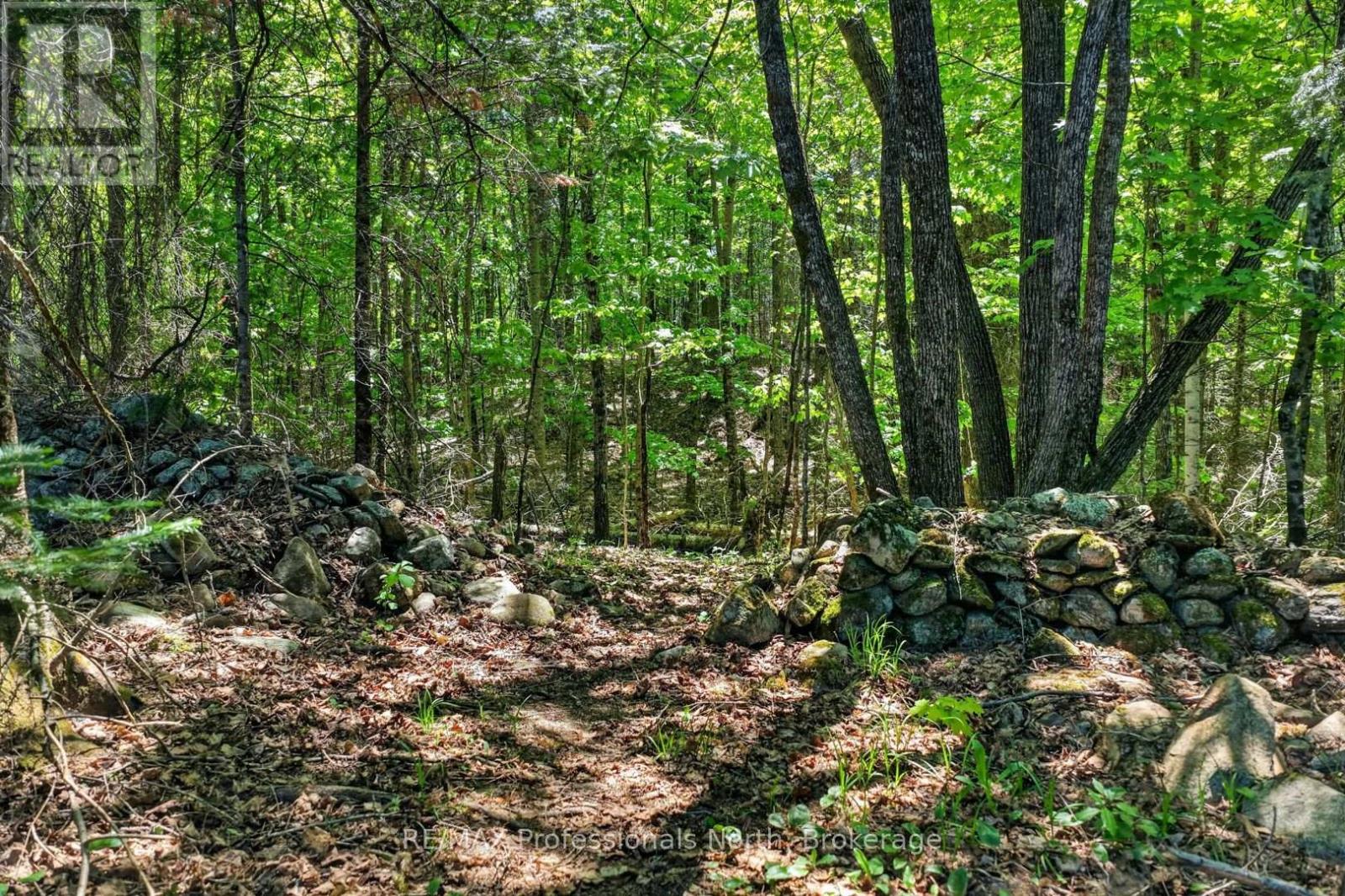 2254 Unicorn Road, Dysart Et Al, Ontario  K0M 1S0 - Photo 46 - X13440182