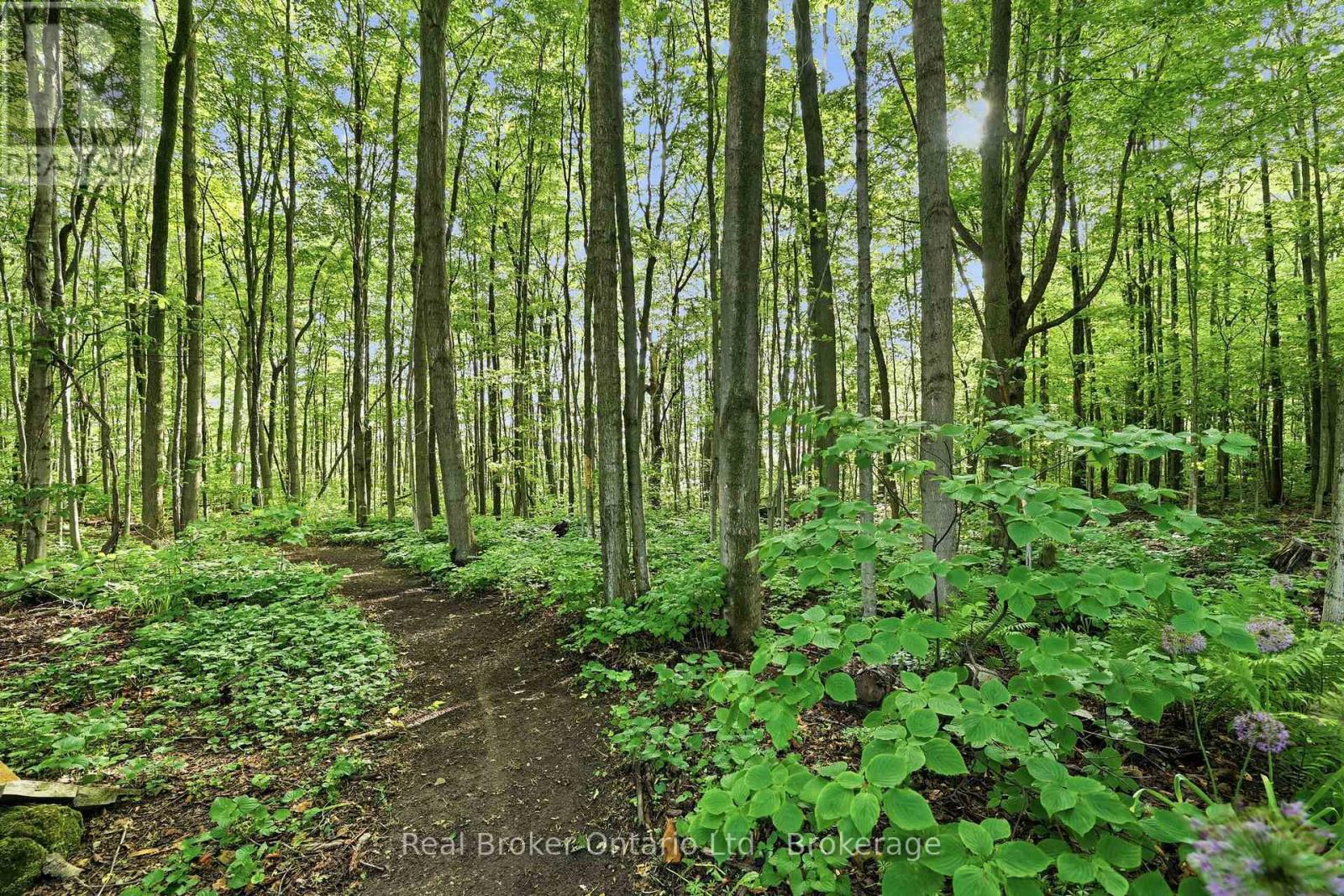 805500 25 Side Road, Grey Highlands, Ontario  N4L 1W6 - Photo 34 - X13440310