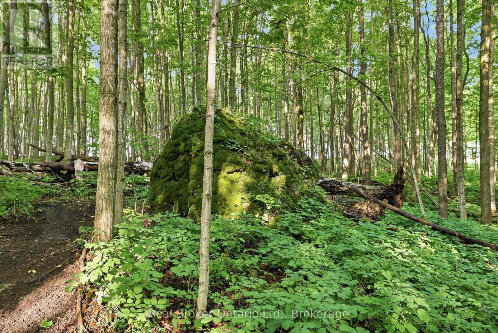 805500 25 Side Road, Grey Highlands, Ontario  N4L 1W6 - Photo 35 - X13440310