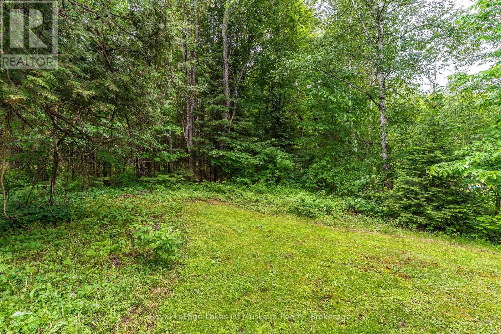 1136 Springdale Shores Private, Bracebridge, Ontario  P1L 1W9 - Photo 20 - X13441144