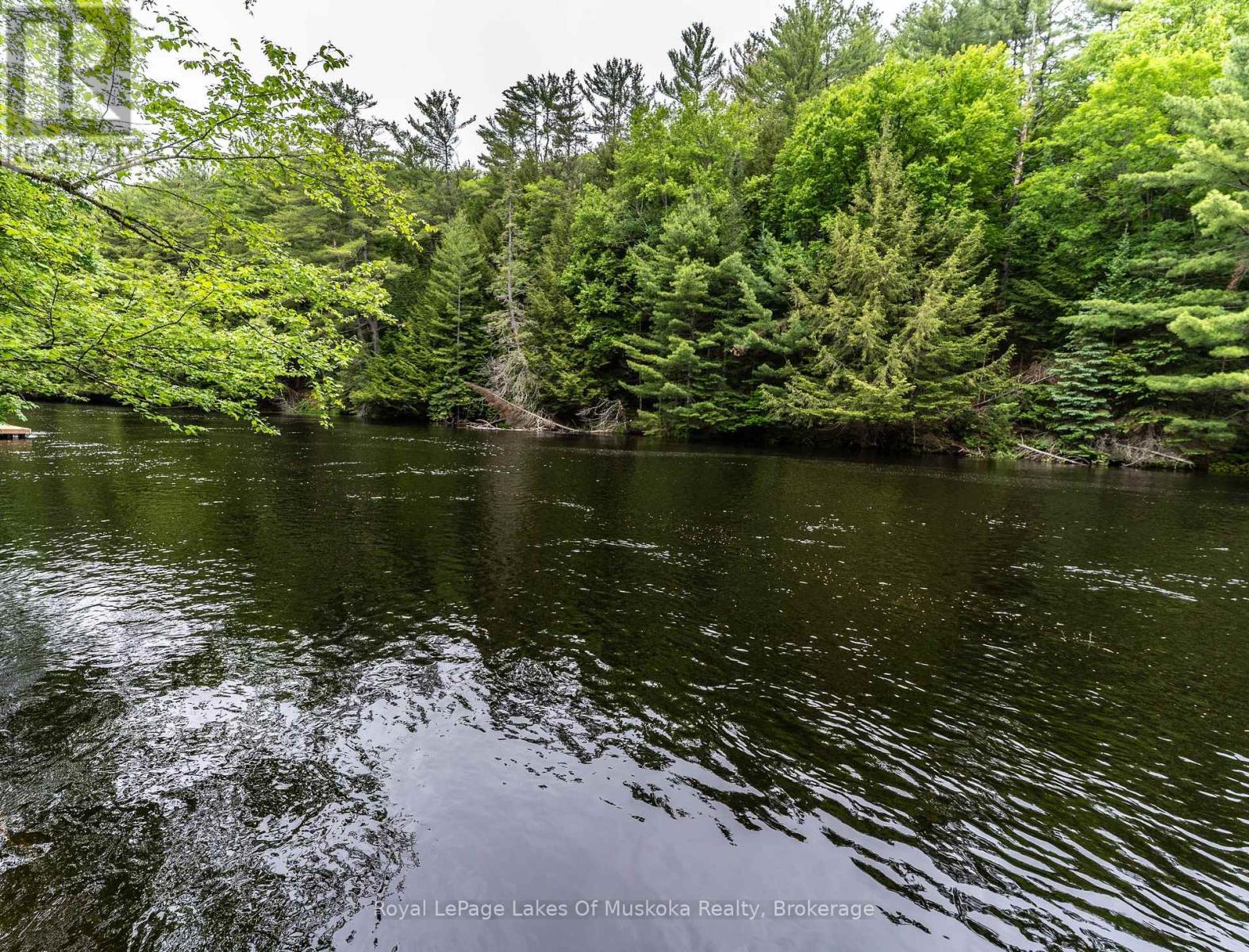 1136 Springdale Shores Private, Bracebridge, Ontario  P1L 1W9 - Photo 3 - X13441144