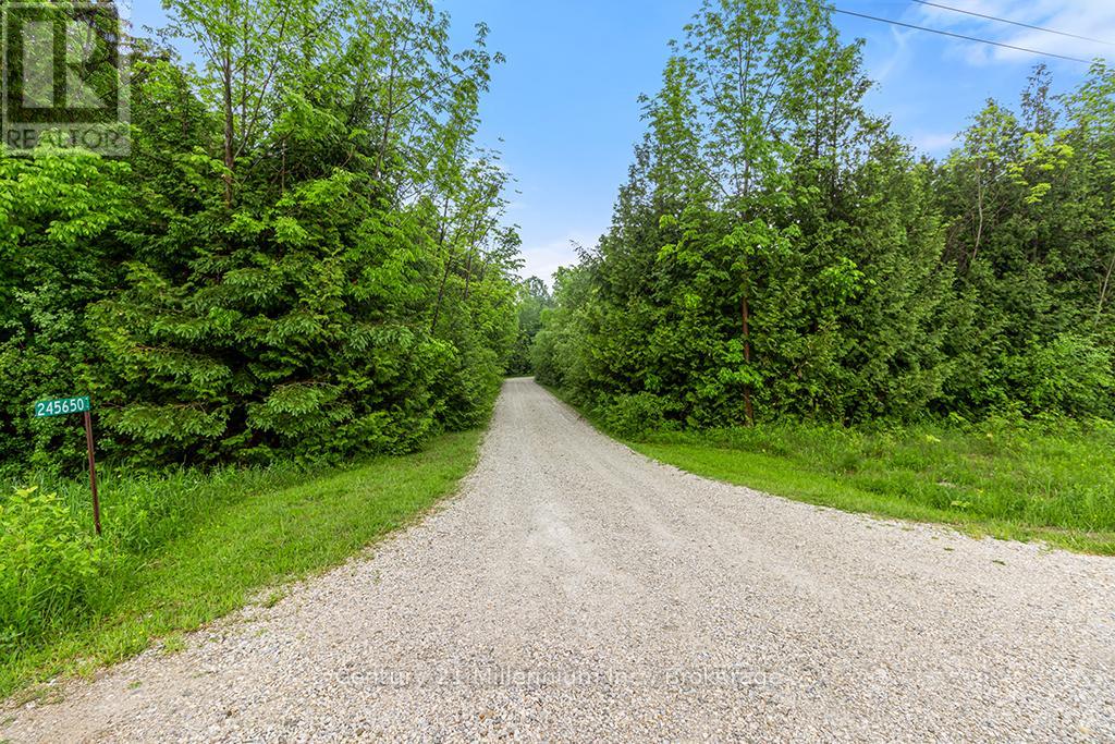 245650 22 Side Road, Meaford, Ontario  N4L 0A7 - Photo 4 - X13442170