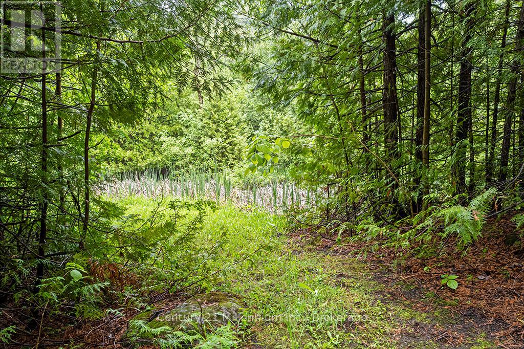 245650 22 Side Road, Meaford, Ontario  N4L 0A7 - Photo 47 - X13442170
