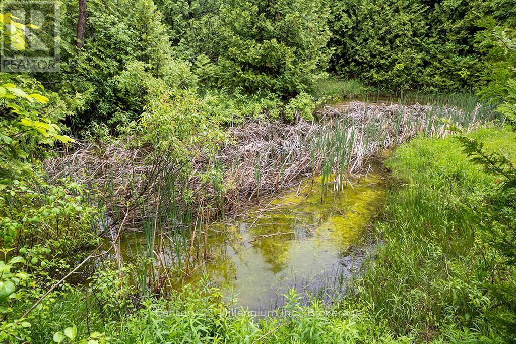 245650 22 Side Road, Meaford, Ontario  N4L 0A7 - Photo 48 - X13442170