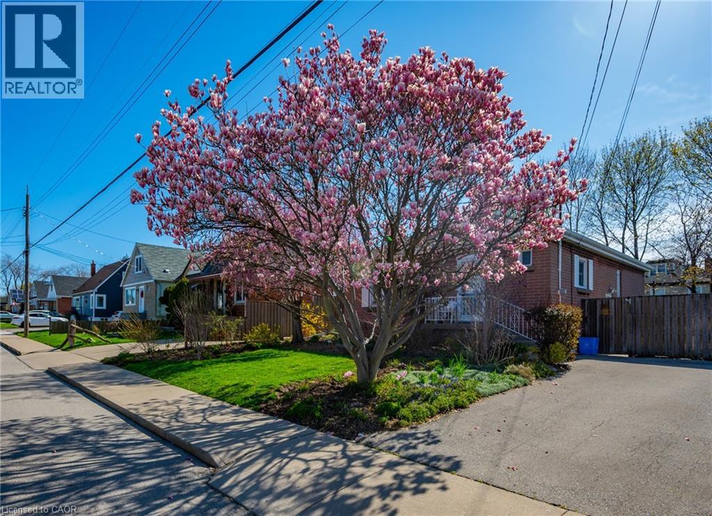73 West 1st Street, Hamilton, Ontario  L9C 3C2 - Photo 2 - 40838906