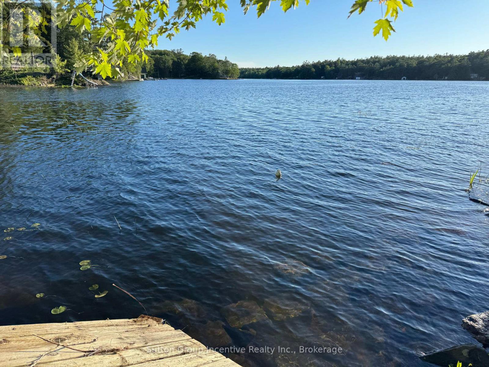 1017 Goldfinch Court, Gravenhurst, Ontario  P0E 1G0 - Photo 27 - X13443636