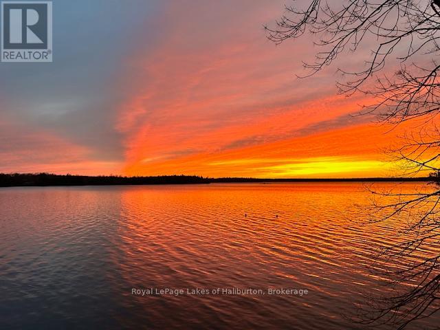 83 Sunset Beach Road, Kawartha Lakes, Ontario  K0M 2B0 - Photo 44 - X13445346
