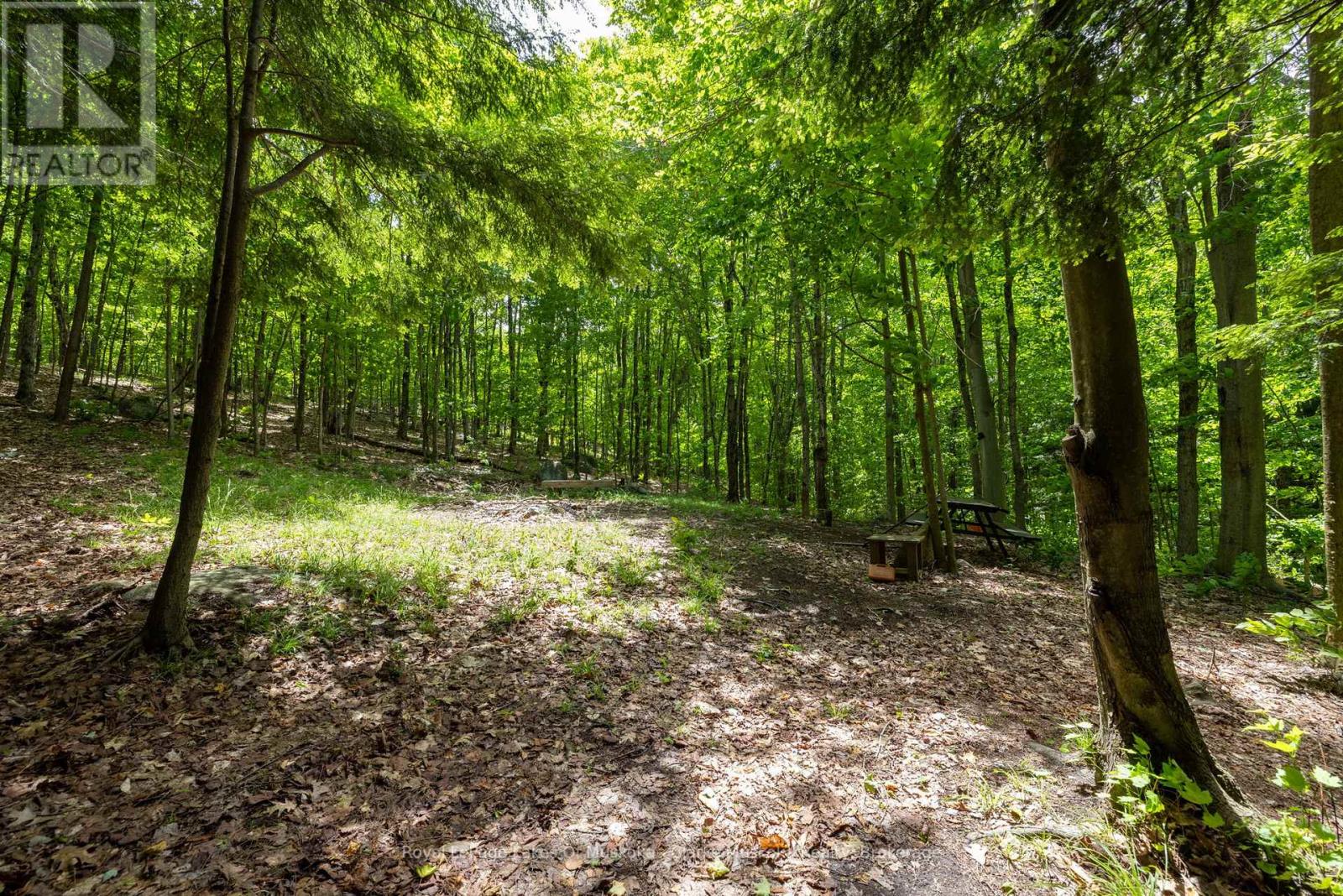1037 Foreman Road, Muskoka Lakes, Ontario  P0B 1J0 - Photo 36 - X13445972