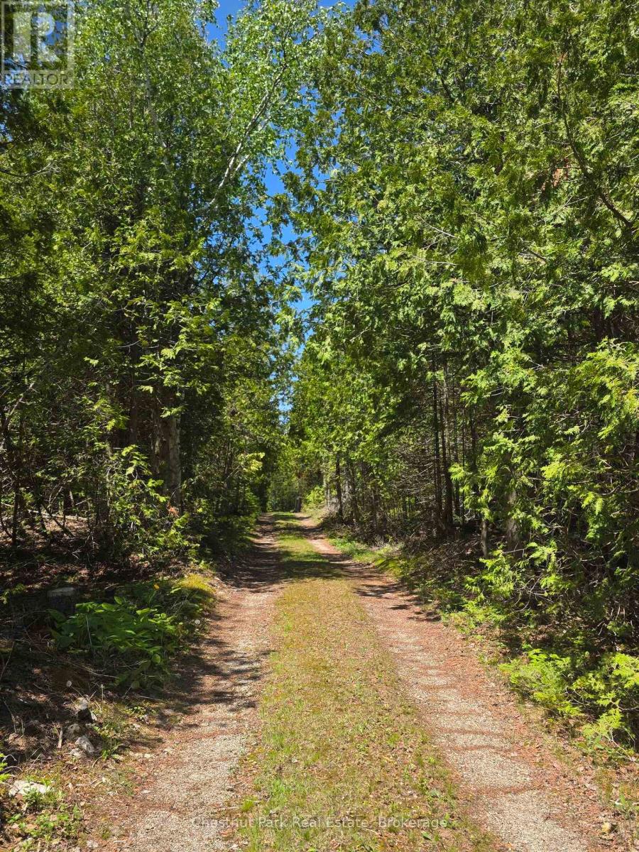 79 Pine Tree Harbour Road, Northern Bruce Peninsula, Ontario  N0H 1Z0 - Photo 9 - X13446486