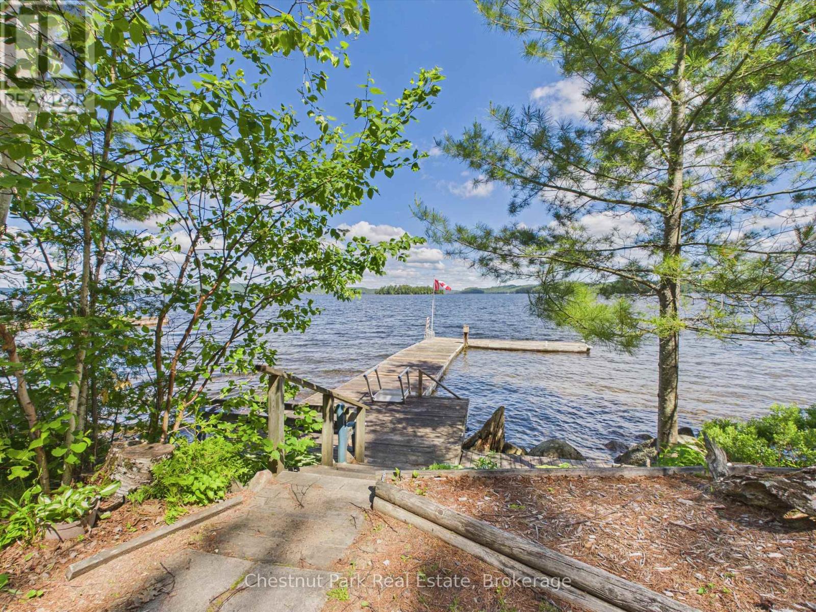 1087 Glenmount Road, Lake Of Bays, Ontario  P0B 1A0 - Photo 45 - X13447650