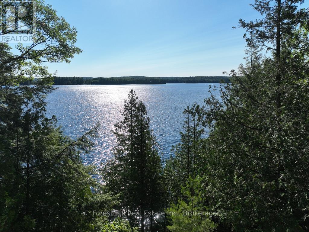 10689 Kawagama Lake Wao, Algonquin Highlands, Ontario  P0A 1E0 - Photo 20 - X13450312