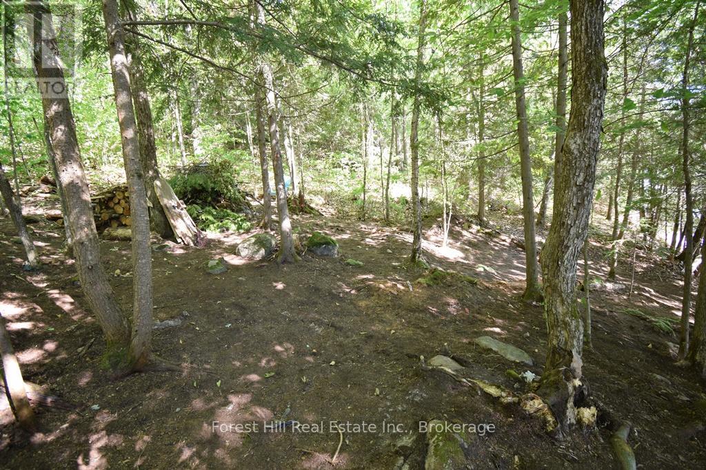 10689 Kawagama Lake Wao, Algonquin Highlands, Ontario  P0A 1E0 - Photo 25 - X13450312