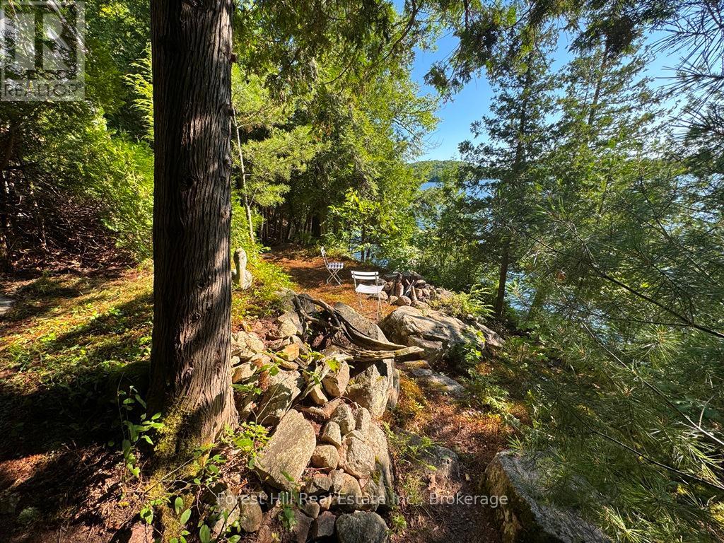 10689 Kawagama Lake Wao, Algonquin Highlands, Ontario  P0A 1E0 - Photo 30 - X13450312