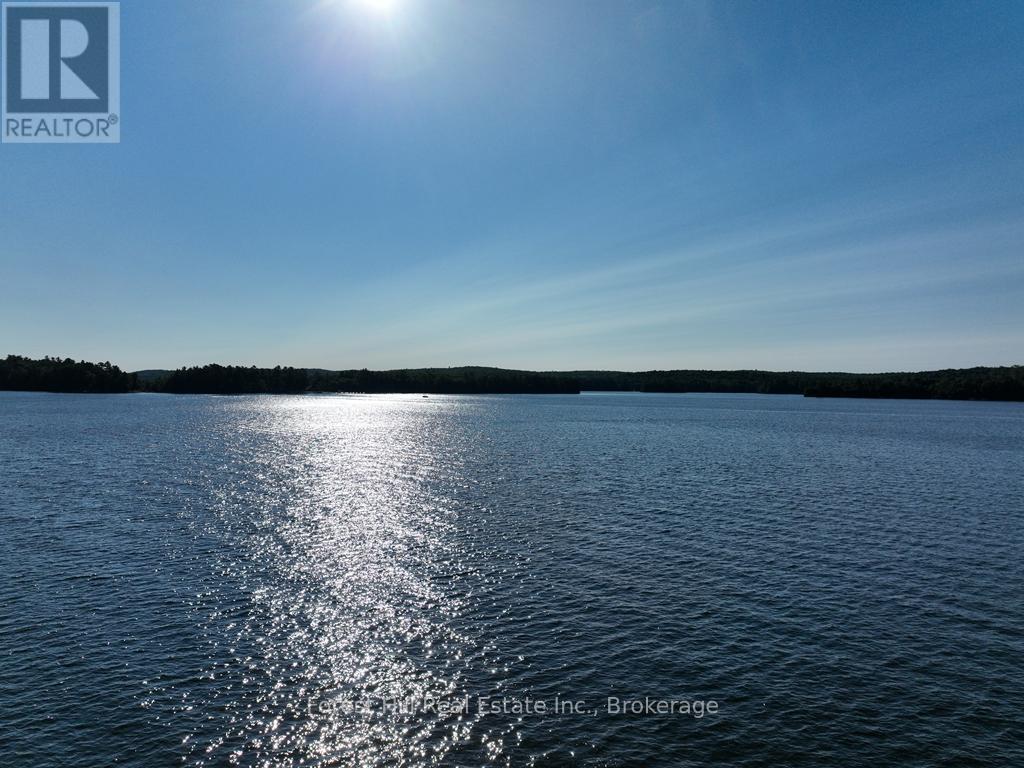 10689 Kawagama Lake Wao, Algonquin Highlands, Ontario  P0A 1E0 - Photo 4 - X13450312