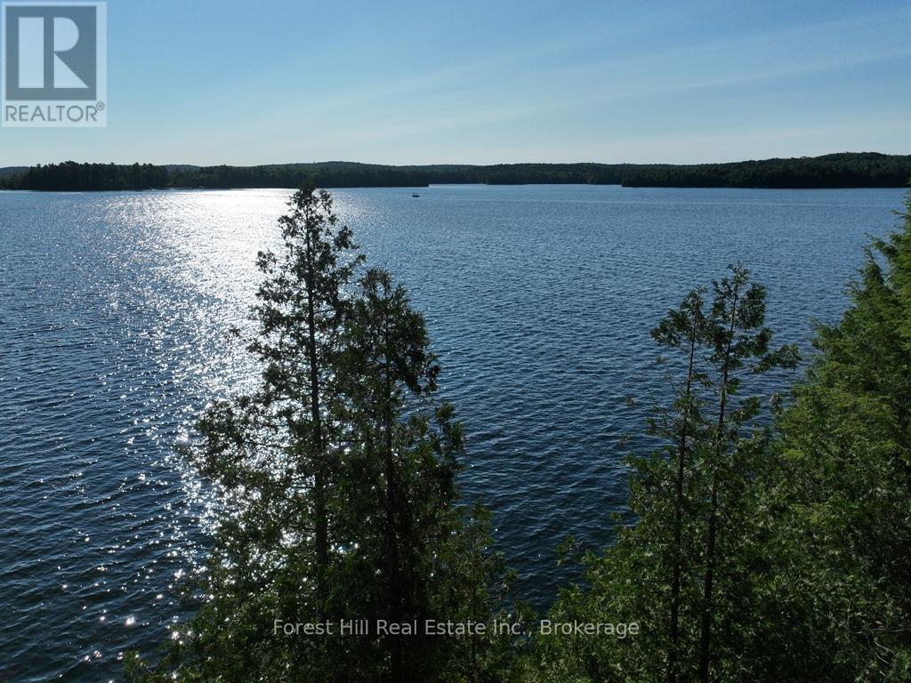 10689 Kawagama Lake Wao, Algonquin Highlands, Ontario  P0A 1E0 - Photo 6 - X13450312