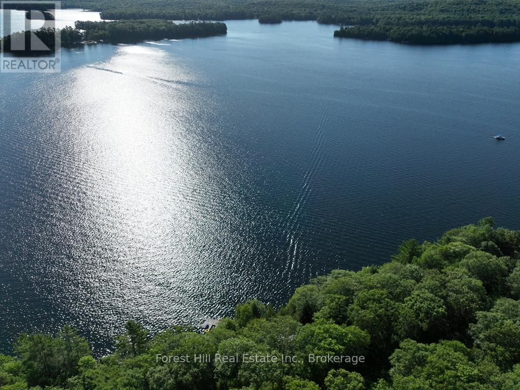 10689 Kawagama Lake Wao, Algonquin Highlands, Ontario  P0A 1E0 - Photo 9 - X13450312