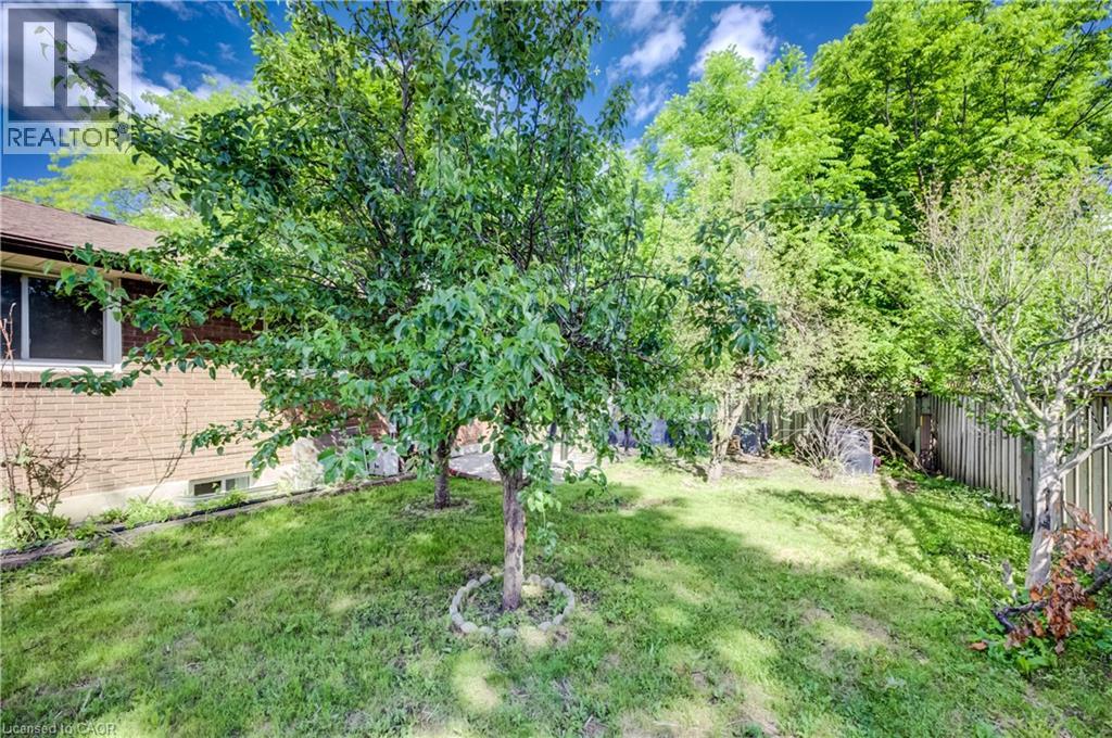 543 Glen Forrest Boulevard, Waterloo, Ontario  N2L 4J3 - Photo 29 - 40840389