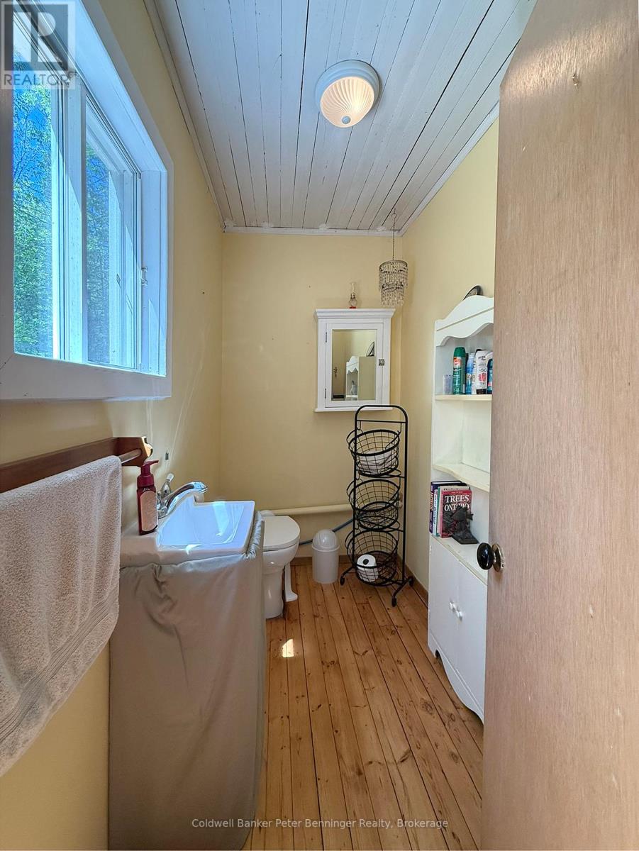 300 Canrobert Street, Arran-Elderslie, Ontario  N0G 2N0 - Photo 11 - X13453226