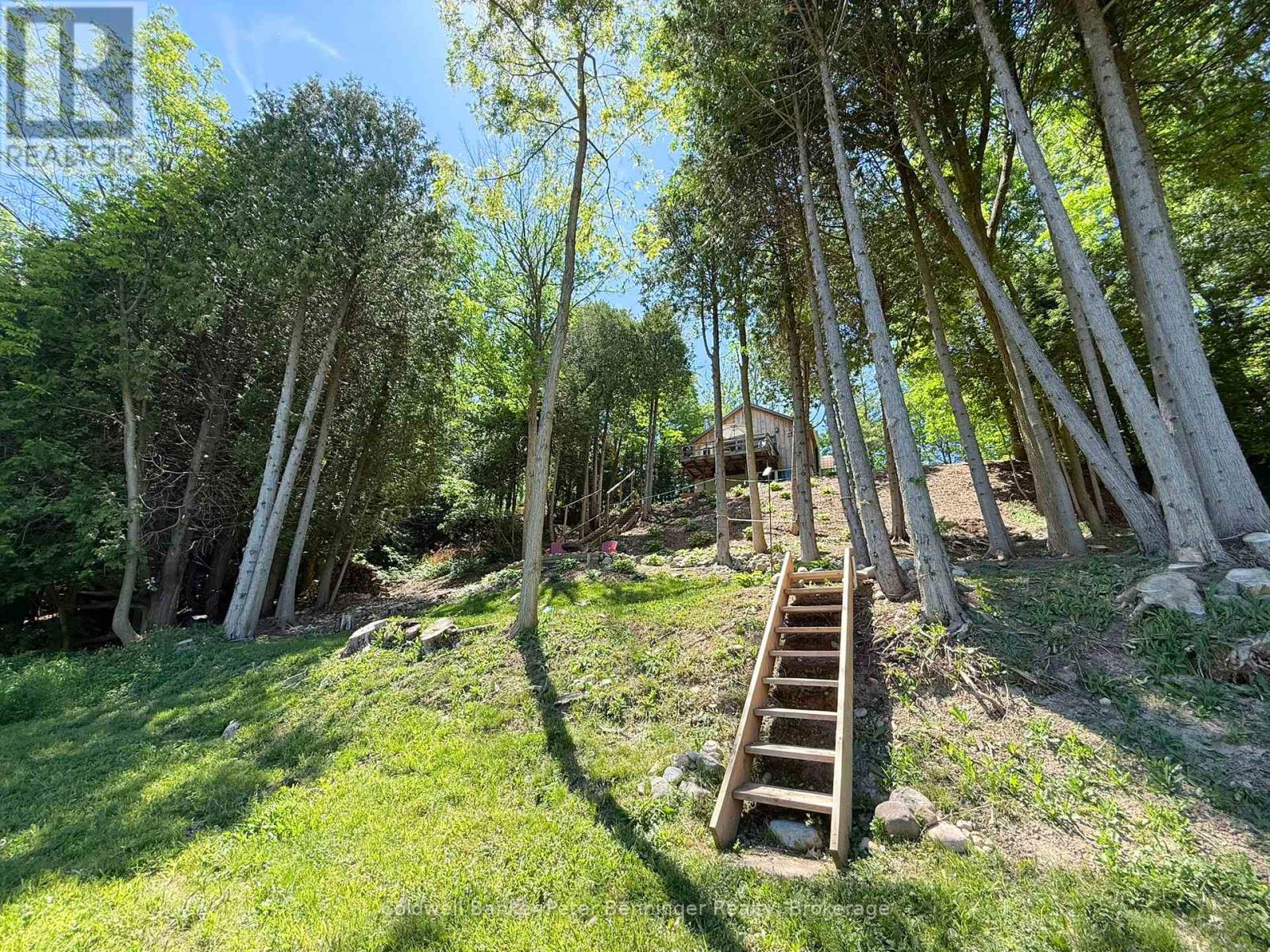 300 Canrobert Street, Arran-Elderslie, Ontario  N0G 2N0 - Photo 39 - X13453226