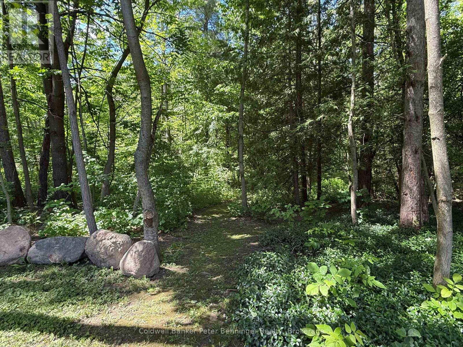 300 Canrobert Street, Arran-Elderslie, Ontario  N0G 2N0 - Photo 40 - X13453226