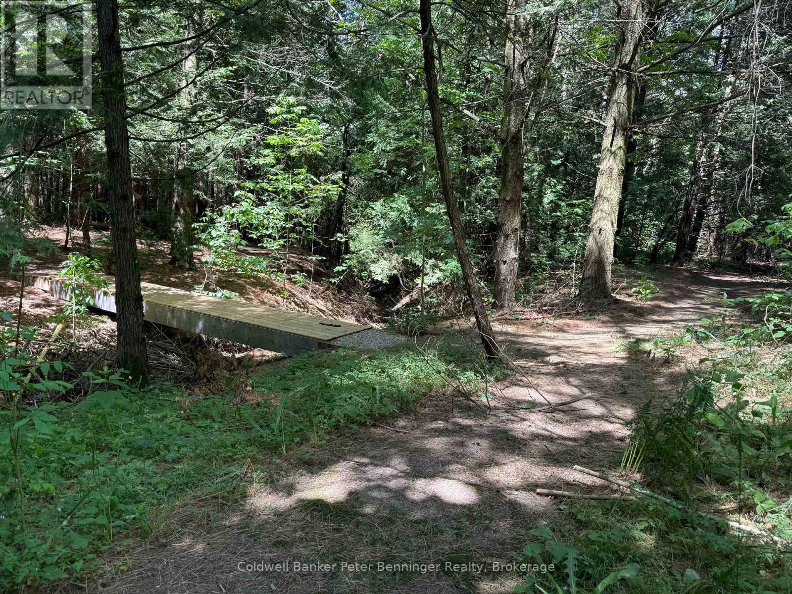 300 Canrobert Street, Arran-Elderslie, Ontario  N0G 2N0 - Photo 43 - X13453226