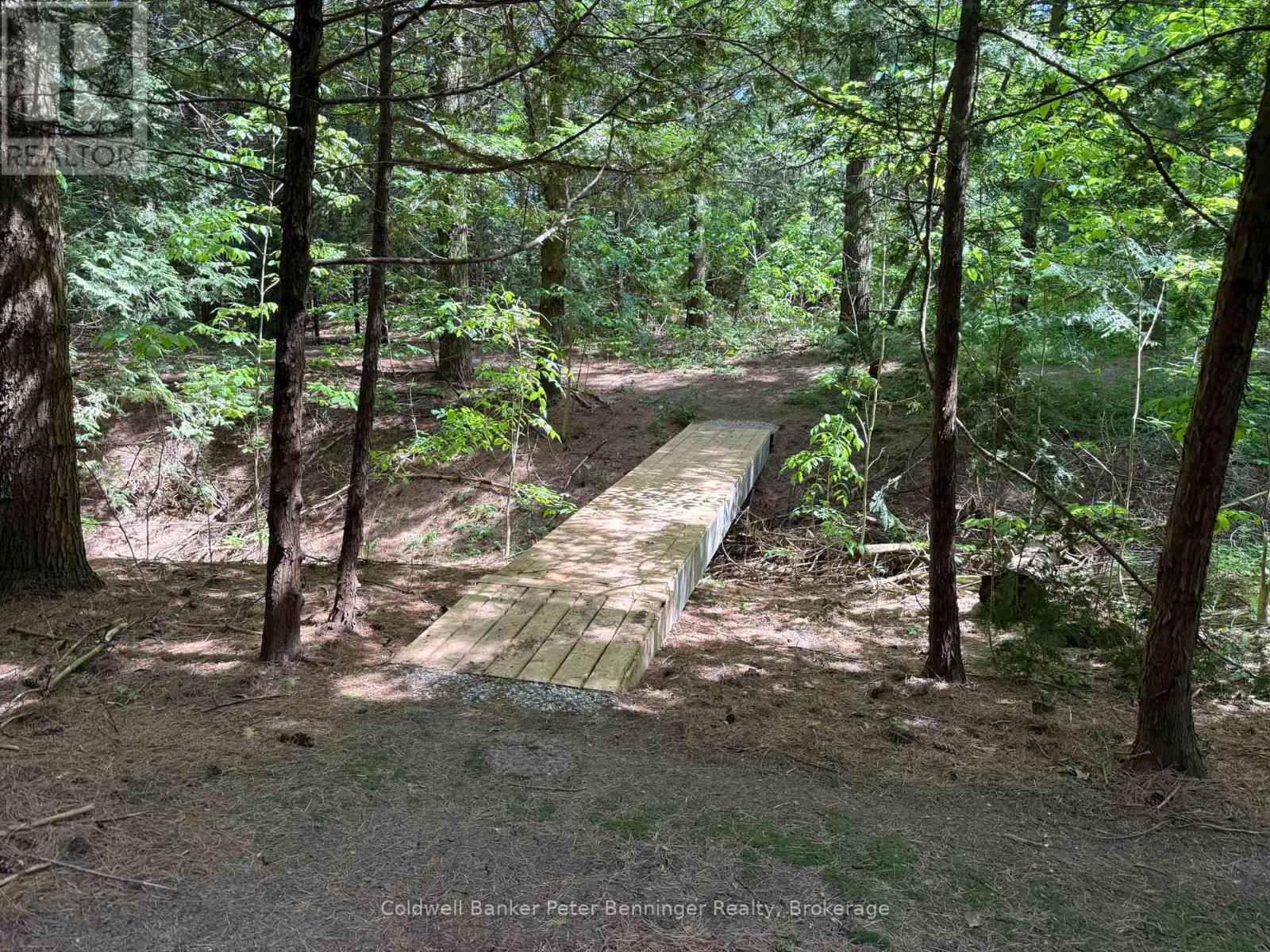 300 Canrobert Street, Arran-Elderslie, Ontario  N0G 2N0 - Photo 44 - X13453226