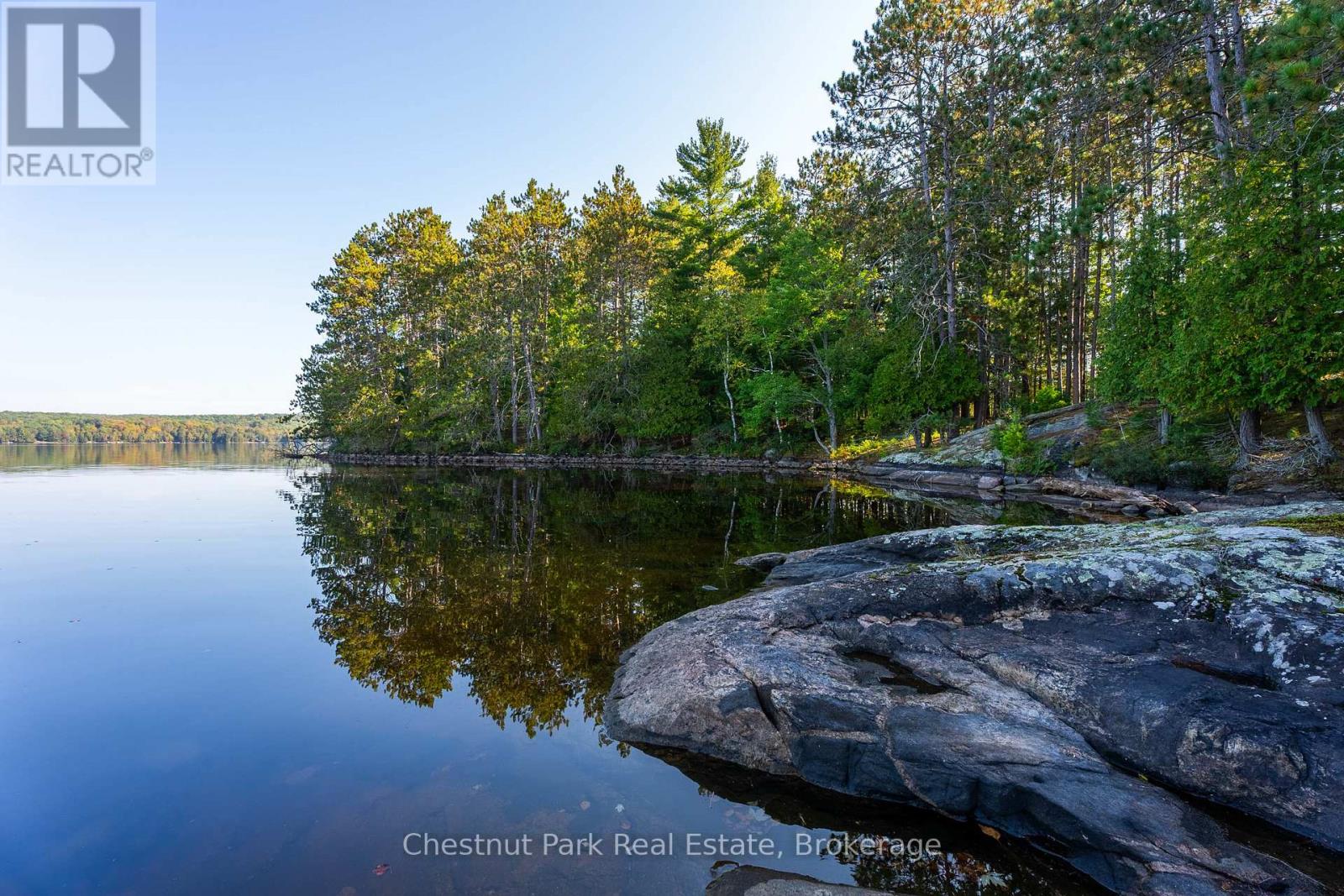 10000 Soyers - Brown Island, Minden Hills, Ontario  K0M 2K0 - Photo 24 - X13453806