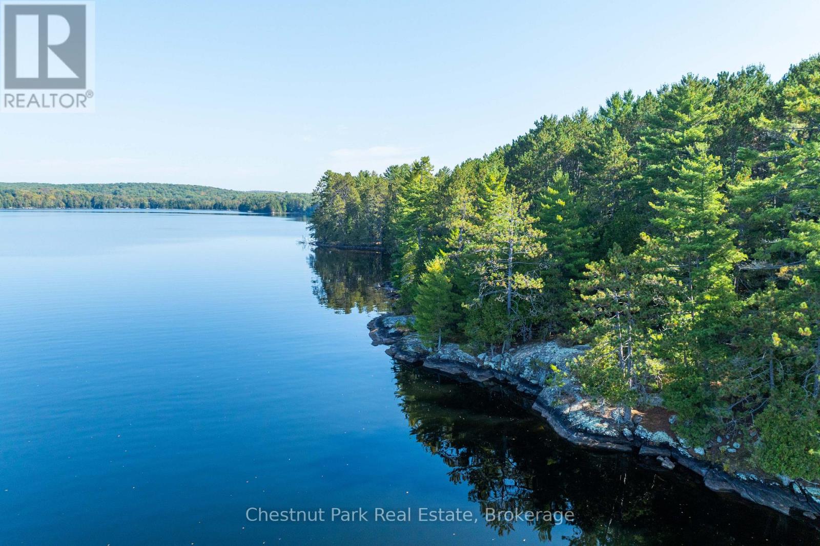 10000 Soyers - Brown Island, Minden Hills, Ontario  K0M 2K0 - Photo 25 - X13453806