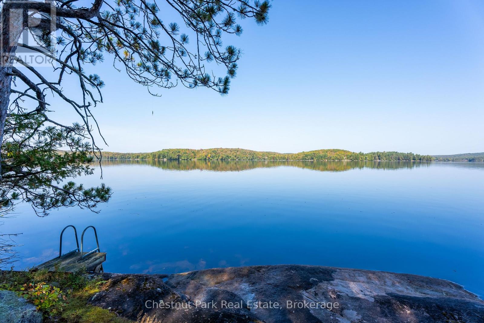 10000 Soyers - Brown Island, Minden Hills, Ontario  K0M 2K0 - Photo 28 - X13453806
