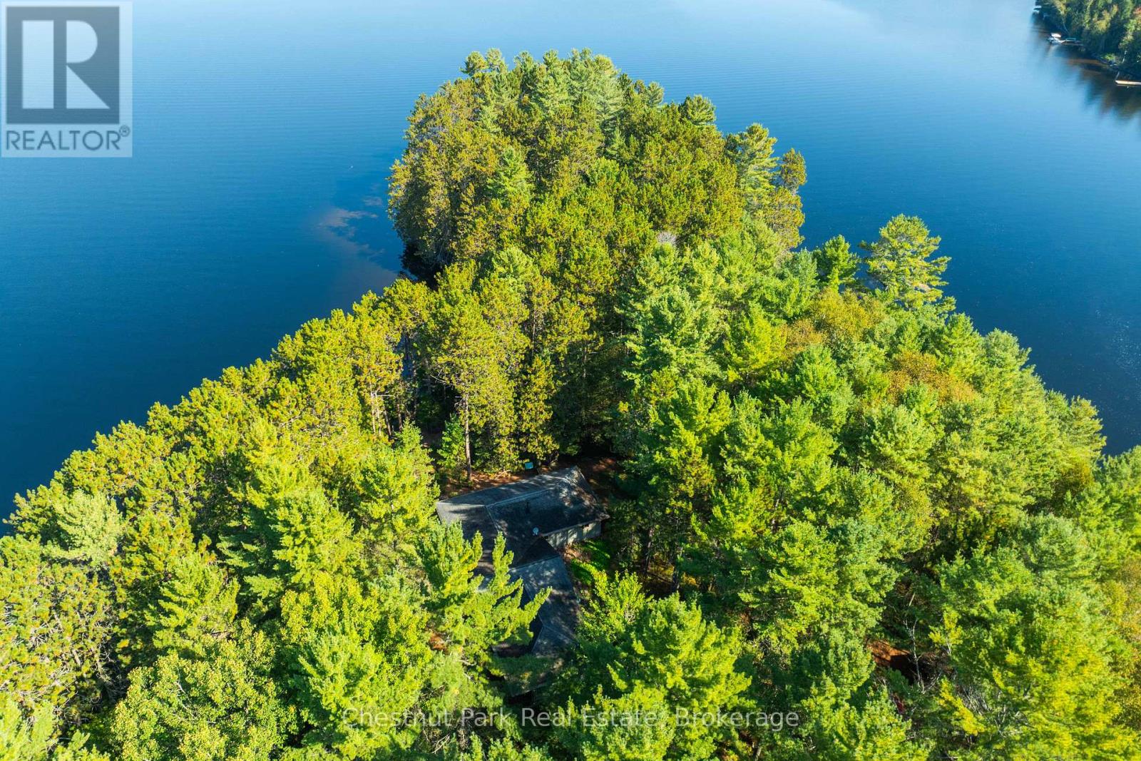 10000 Soyers - Brown Island, Minden Hills, Ontario  K0M 2K0 - Photo 3 - X13453806
