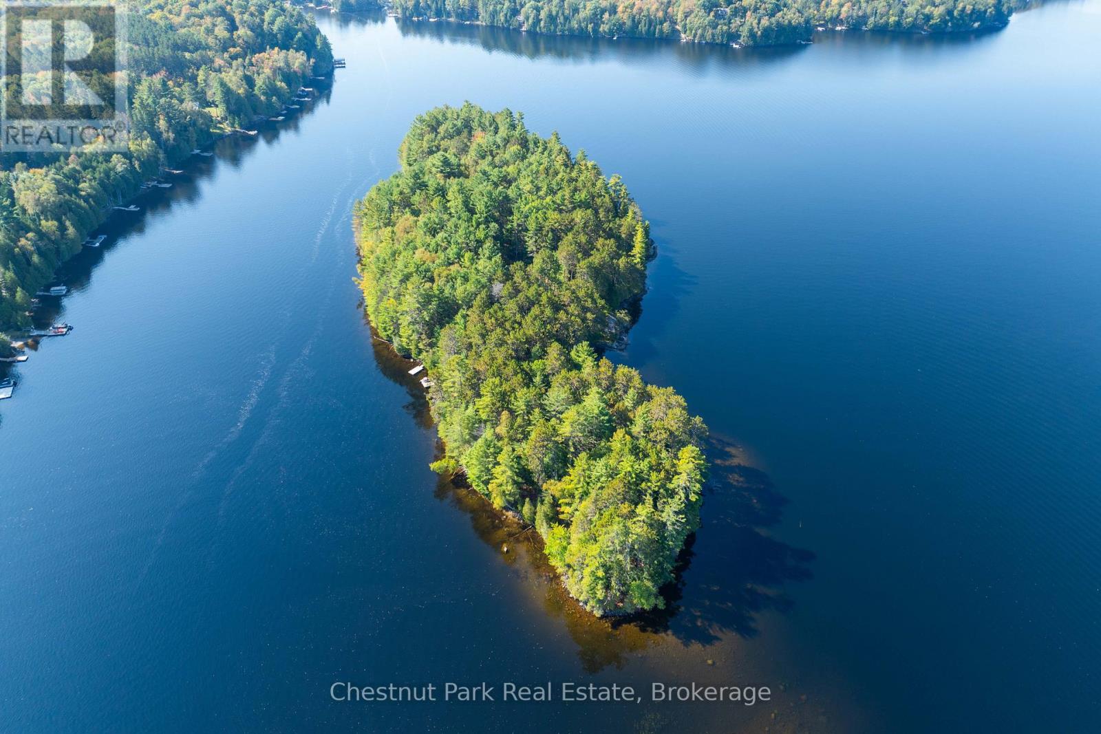 10000 Soyers - Brown Island, Minden Hills, Ontario  K0M 2K0 - Photo 30 - X13453806