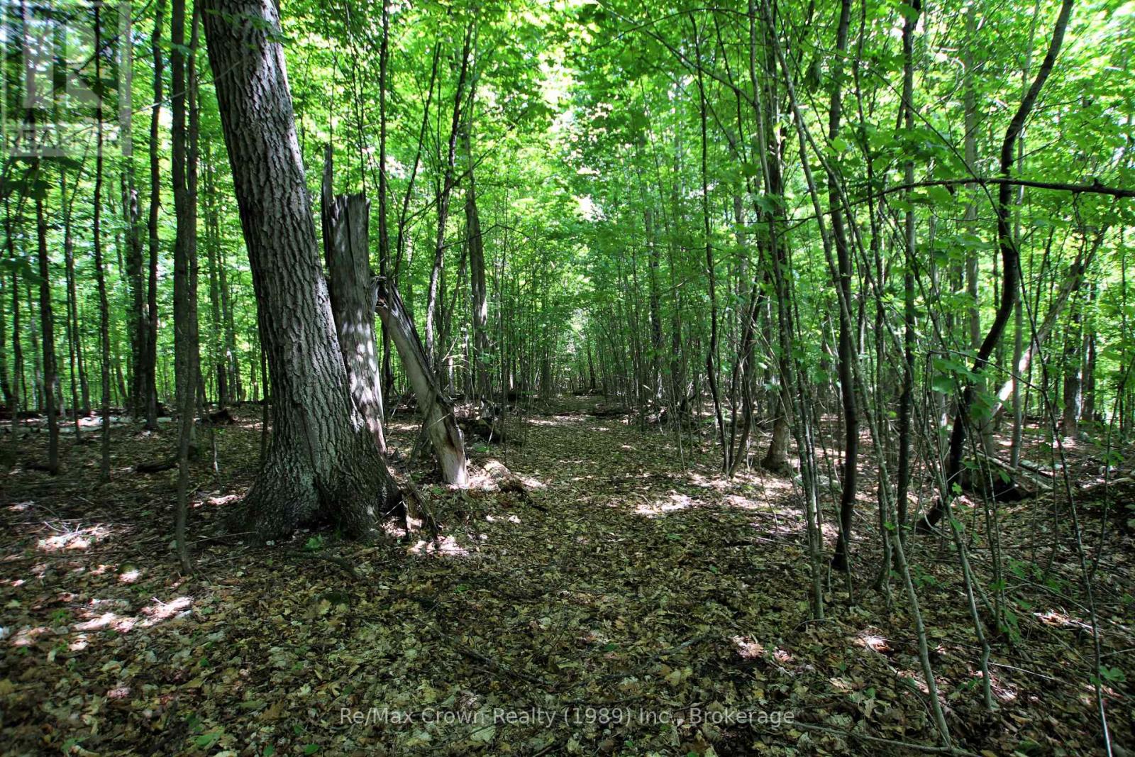1052 Limberlost Point Road, Parry Sound Remote Area, Ontario  P0H 2R0 - Photo 31 - X13454594