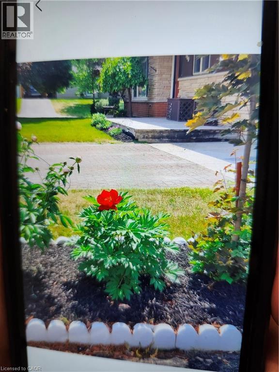 102 Byeland Drive, Mount Forest, Ontario  N0G 2L2 - Photo 39 - 40840351