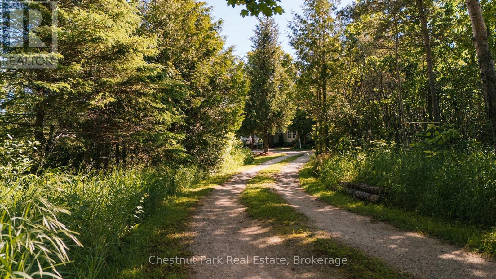729297 21st Side Road, Blue Mountains, Ontario  N0H 1J0 - Photo 2 - X13456170