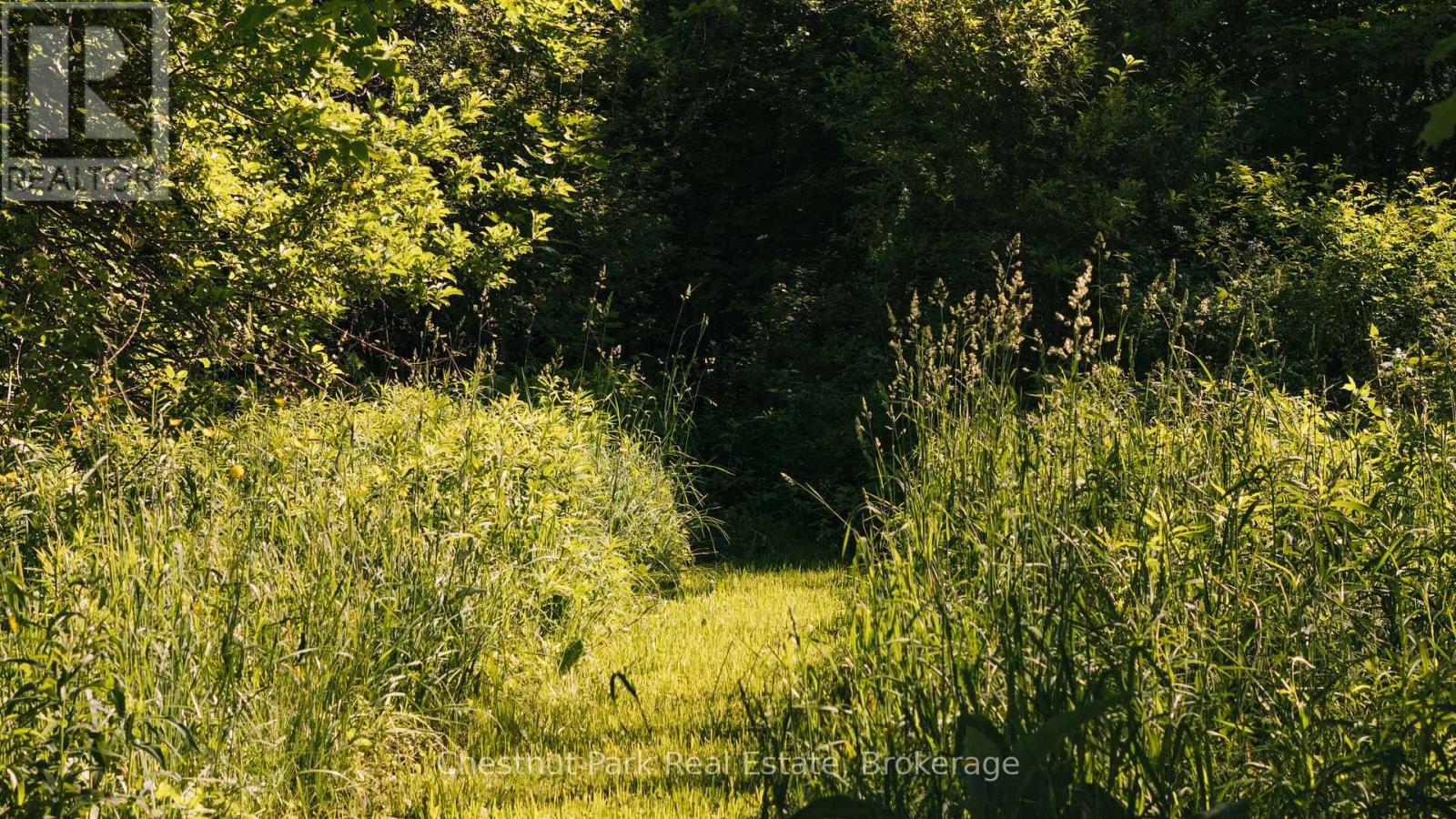 729297 21st Side Road, Blue Mountains, Ontario  N0H 1J0 - Photo 44 - X13456170